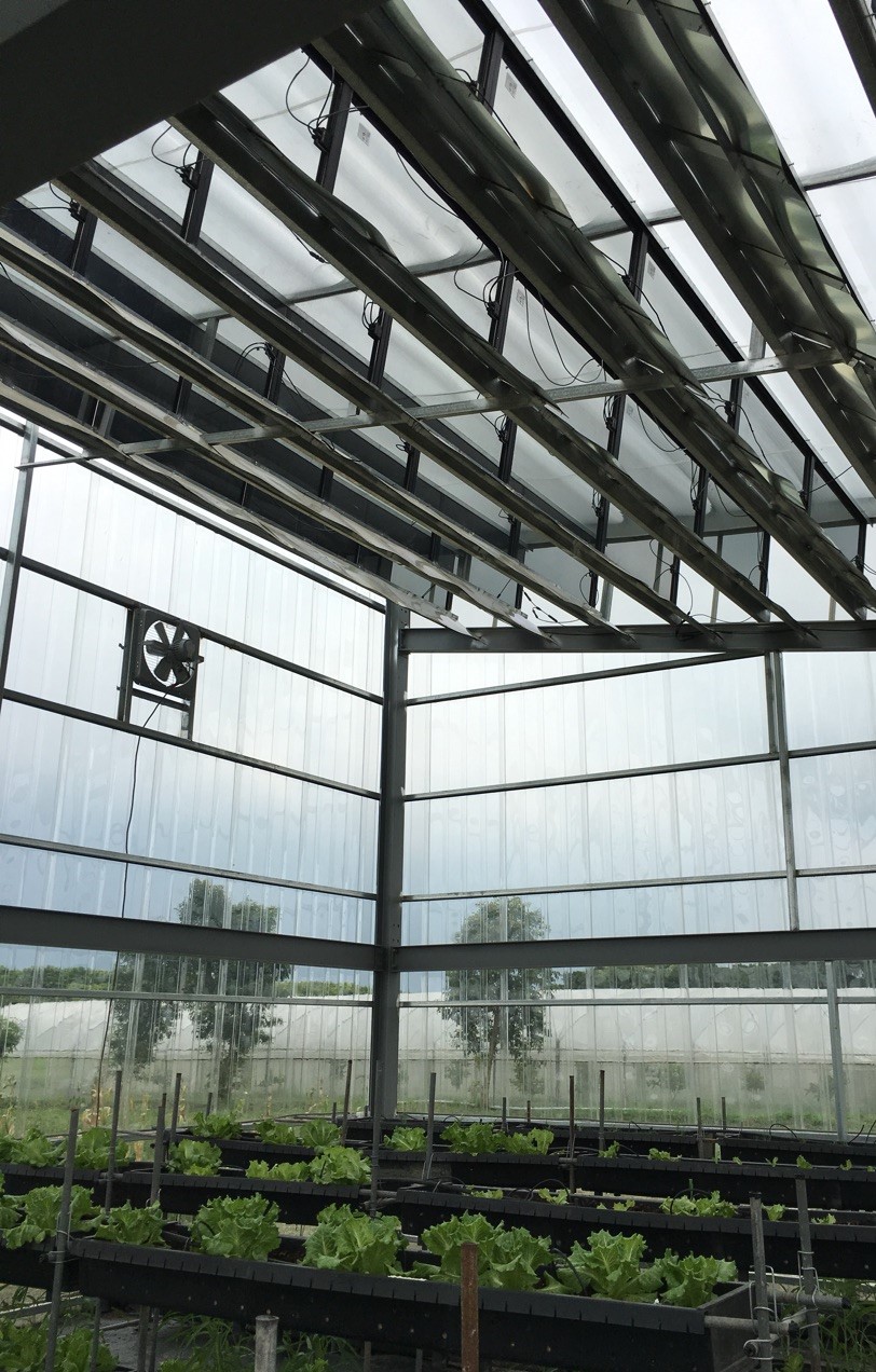 防汚パネル|セルフクリーニング|パネル洗浄|